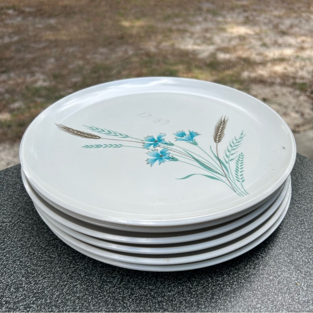 Westinghouse Melmac Plates